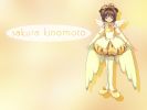 ccs 12 1024   420  (ccs 12 1024   ( Anime Wallpapers Card Captor Sakura  ) 420 )